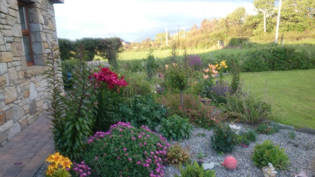 Atlantic Way B&B Grange  Buitenkant foto