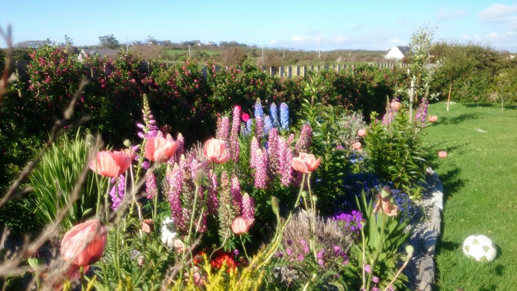 Atlantic Way B&B Grange  Buitenkant foto